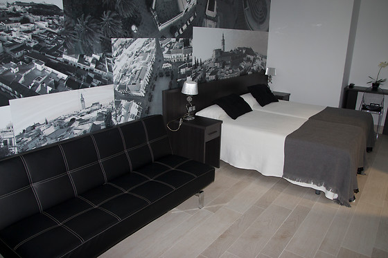 HOTEL BARRIO NUEVO - photo 6