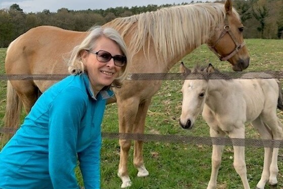 Equicoaching - photo 3