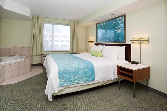 Online Booking EPS - photo 5