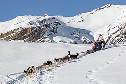 Passion Traîneau