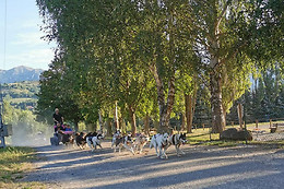 Passion Traîneau