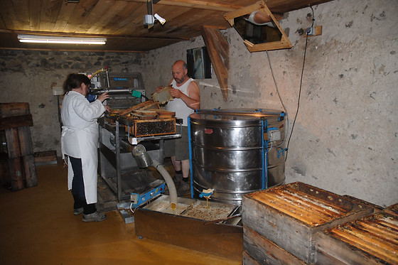 La ruche des puys - photo 4