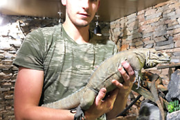 Mike's Reptipark