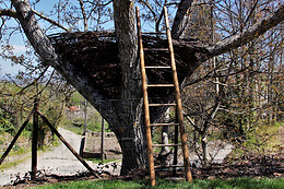 Glamping Hills
