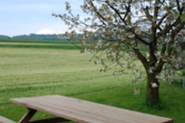 Gehrenhof