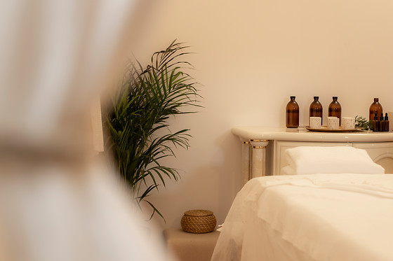 ALELLA ORGANIC SPA - photo 9