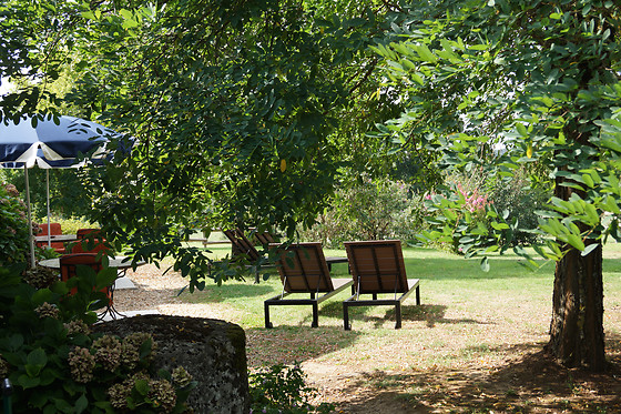 Domaine de la mouthe - photo 5