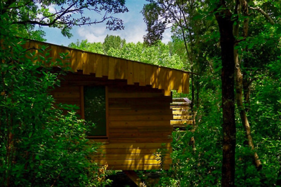 Les Cabanes dans les Bois - photo 6