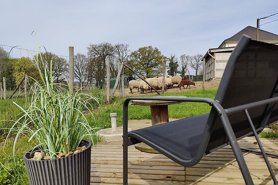 Boerderij Lianko - photo 8