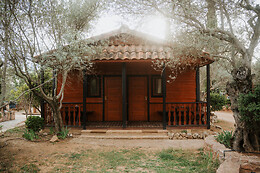 CAMPING ALQUEZAR