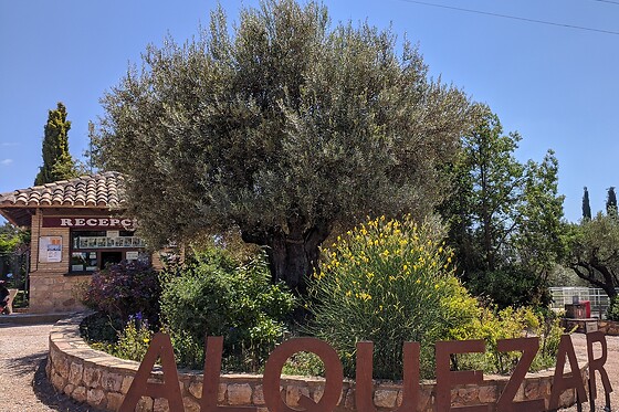 CAMPING ALQUEZAR - photo 7