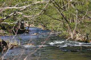 Séjour pour 2 au Camping Le Viaduc** à Arlebosc (07)