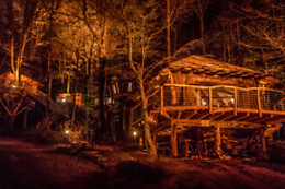 Baumhaushotel Robin's Nest