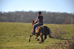 Farandole Equestre