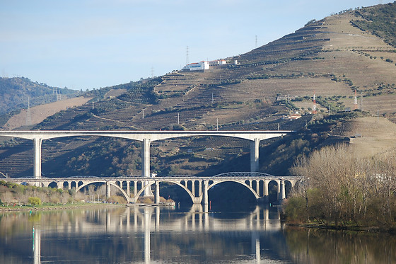 MANOS DO DOURO - photo 4
