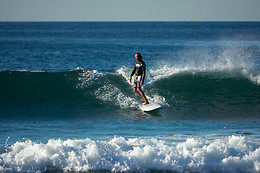 Pettirosso Surf School