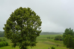 Chambre d'hôtes Le Bourdieu
