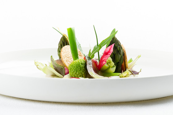 Ivan VAUTIER - photo 3