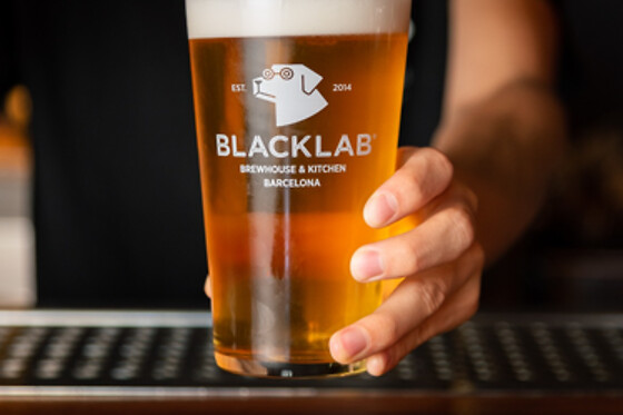 BLACKLAB - photo 8