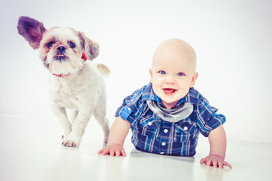 Shoots and More Arnhem - photo 3