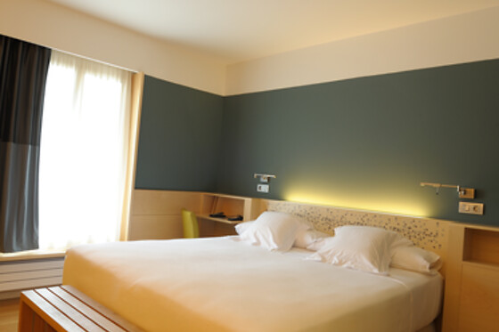 HOTEL RESORT BALNEARIO DE PANTICOSA - photo 11