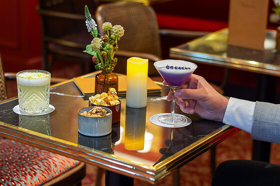 Hôtel & Spa Napoléon - photo 8