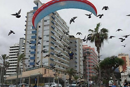 PARAPENTE CANARIAS