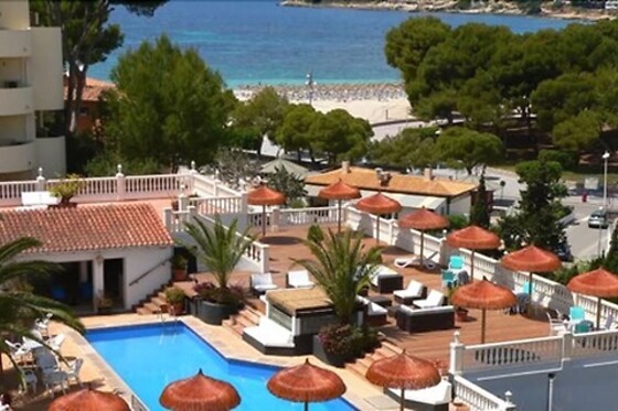 Online Booking EPS - photo 3