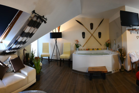 Hotel Ziegelruh - photo 11