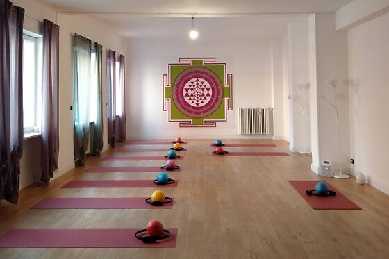 Yoga Pilates SSD - photo 4