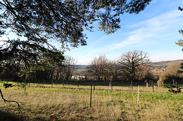 1001 Cornes