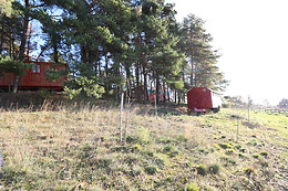 1001 Cornes