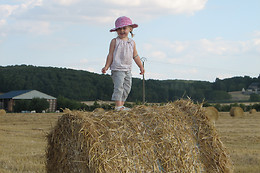La Ferme des Pignons