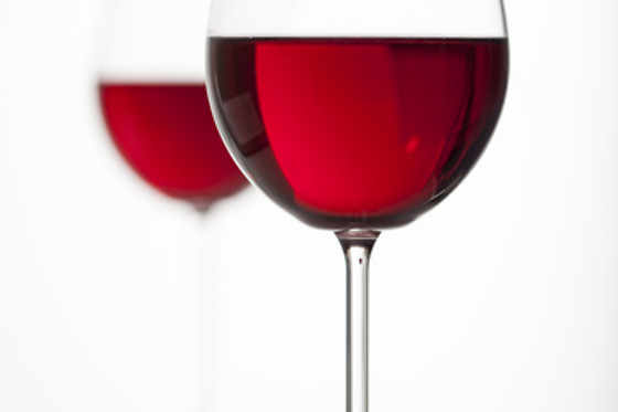 VINS GRAU - photo 2
