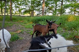 Le Pré Karvain