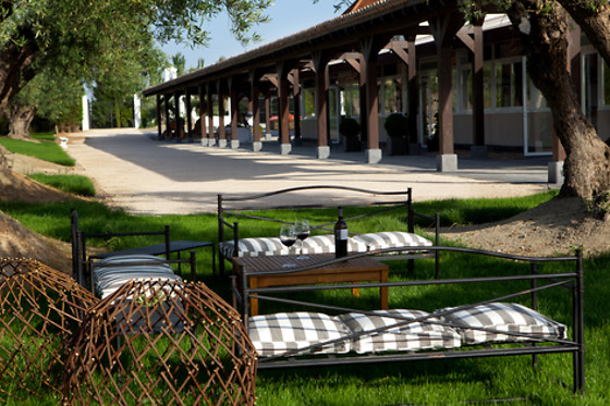 BODEGAS Y VIÑEDOS CASA DEL VALLE - photo 12