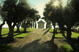 BODEGAS Y VIÑEDOS CASA DEL VALLE