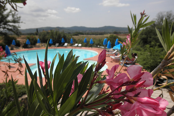 Hotel Toscana Verde - photo 6
