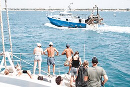 Catamaran Picardie II