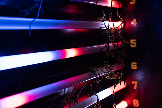 Escape in Time - photo 4