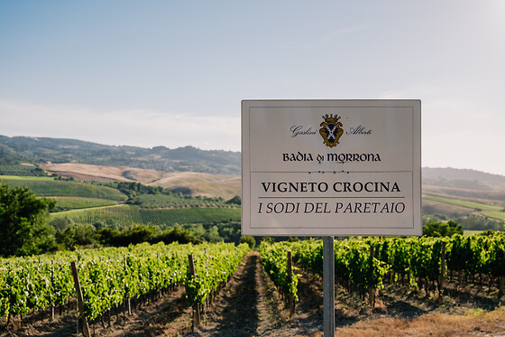 Cantina Wine Shop Badia di Morrona - photo 3