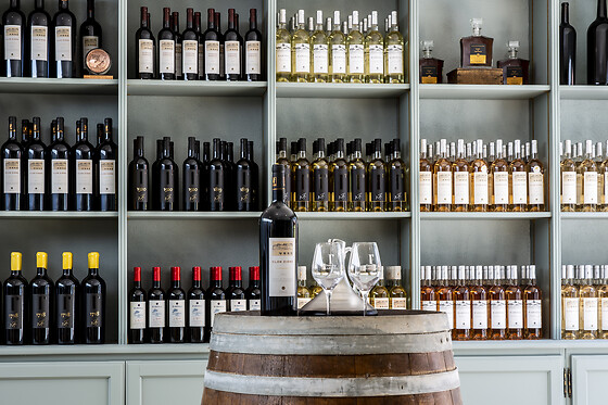 Domaine Rabiega - photo 3