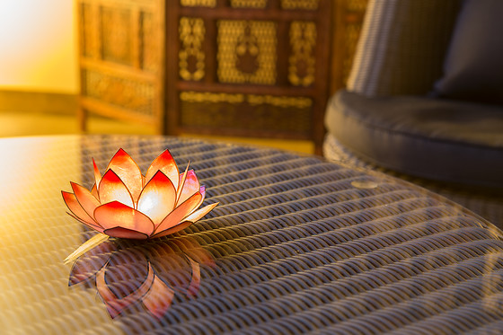 HETRE ZEN - photo 9