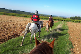 A Cheval dans l'Yonne