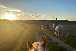 A Cheval dans l'Yonne
