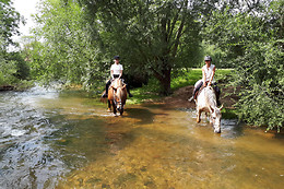 A Cheval dans l'Yonne