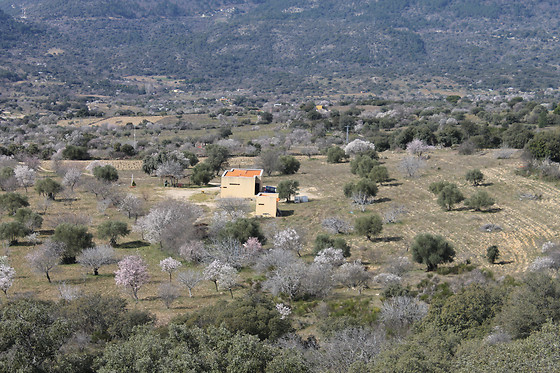 BODEGA AUMESQUET GARRIDO - photo 1