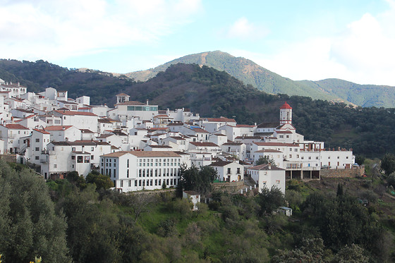 APARTAMENTOS RURALES JARDINES DEL VISIR - photo 0