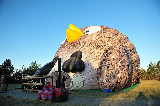 Yves Lannoy Ballooning - photo 2