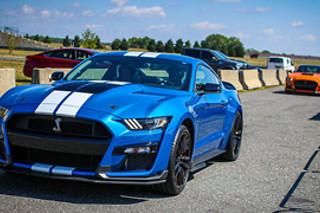 Découverte Ford Mustang Shelby GT500 (2 tours) sur le Circuit d'Albi (81)